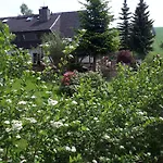 Aronia Garten Oberwiesenthal