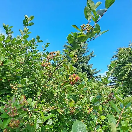 Aronia Garten Apartment *