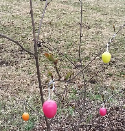 公寓 Aronia Garten 奥泊维森塔尔