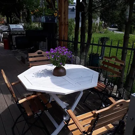 Aronia Garten Oberwiesenthal